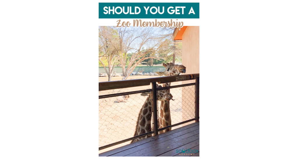 Should You Get a Zoo Membership?