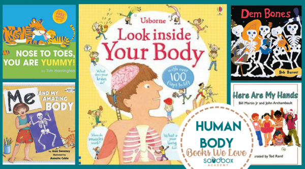 Body Books We Love - Sandbox Academy