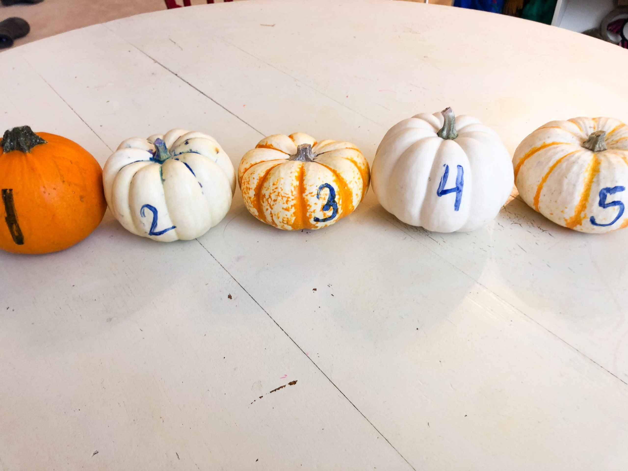 Pumpkin Activities For Preschoolers Sandbox Academy